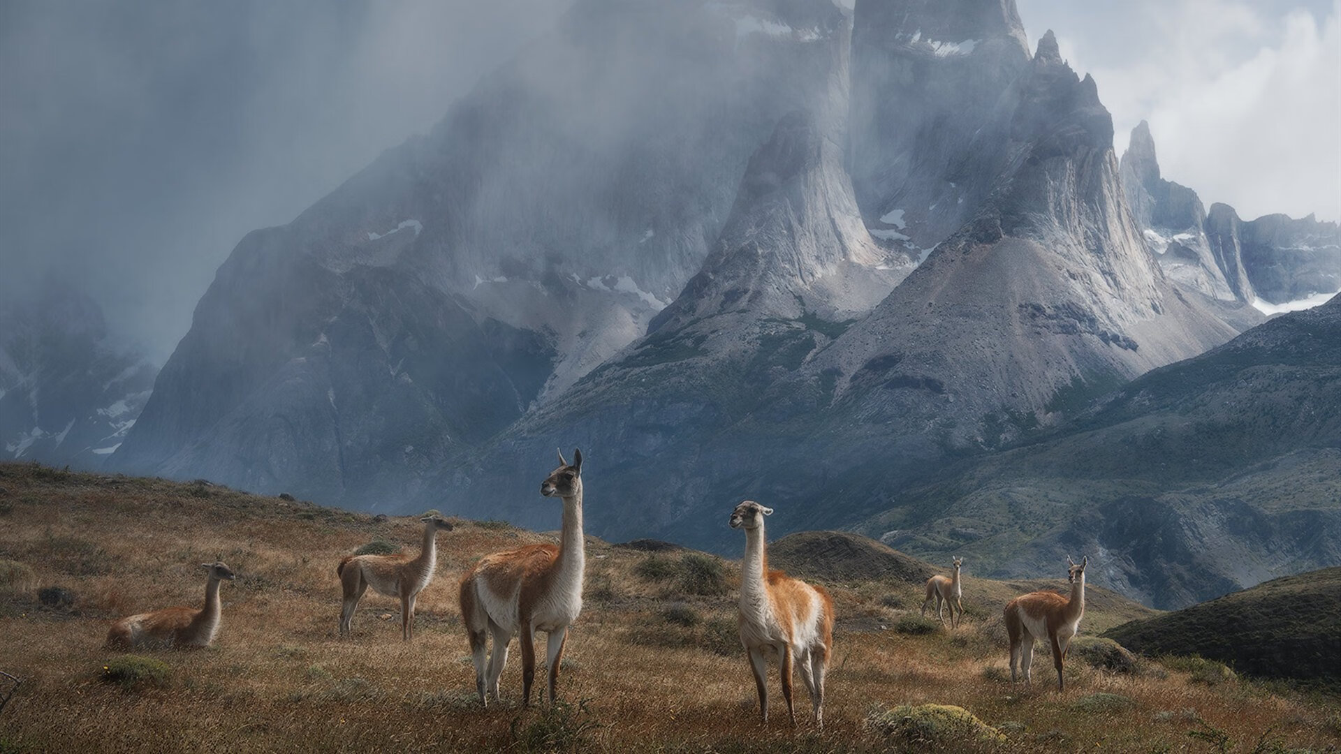 开云体育-卡瓦哈尔关键制胜，雷恩压哨击败曼联，一场改写历史的欧冠之夜