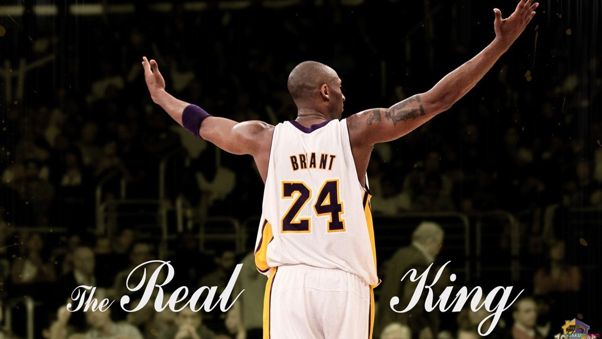 文班亚马爆发难救主，辽宁队战术智慧强行终结独行侠连胜